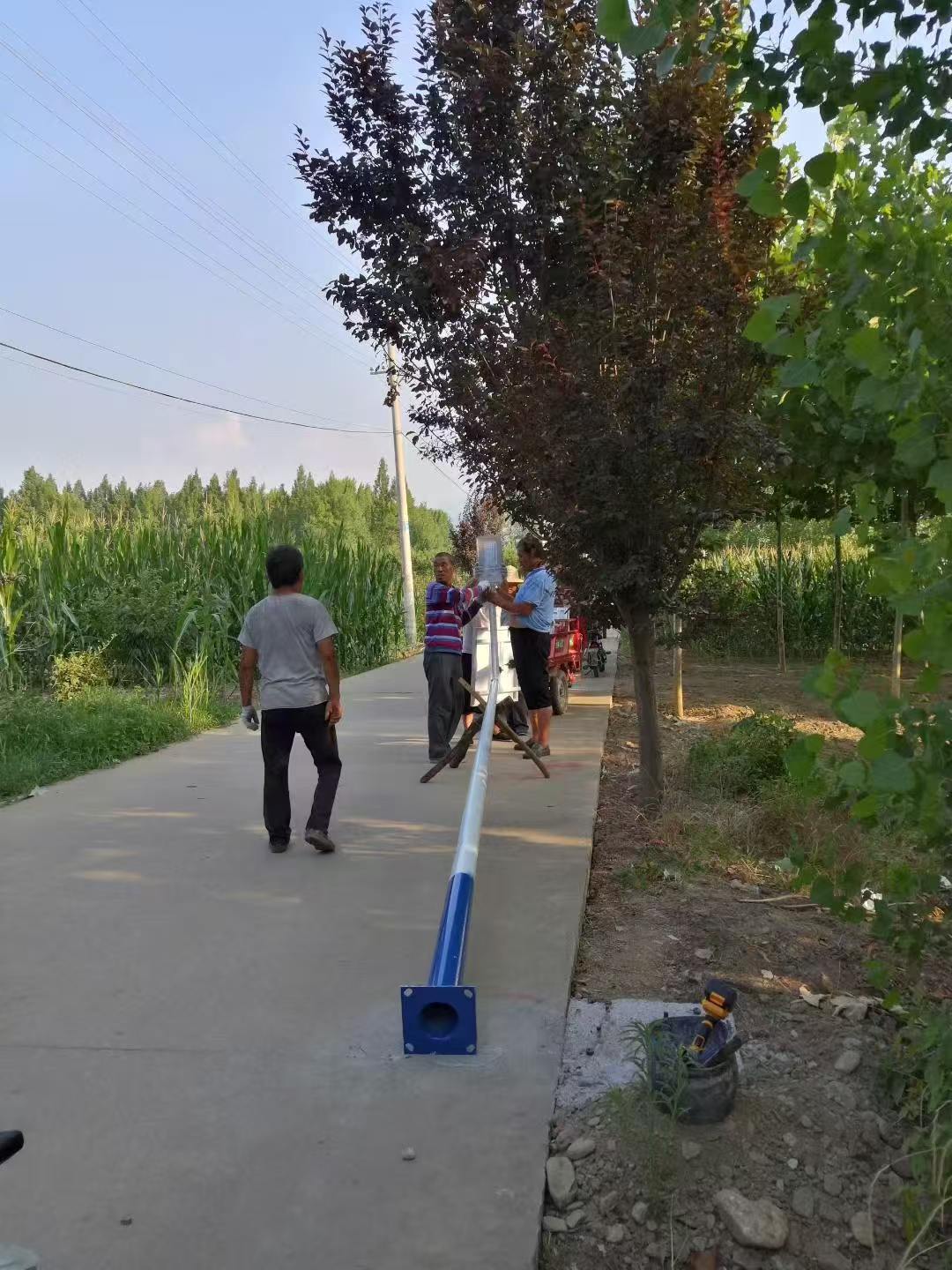 惜光静雅照明案例图片