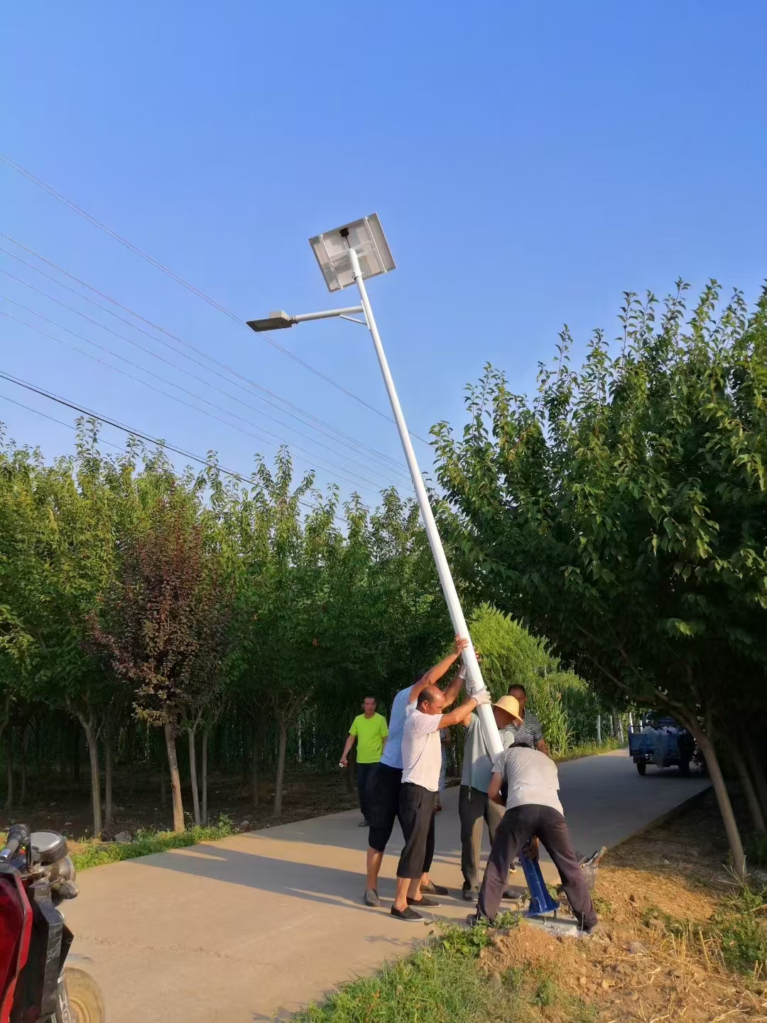 惜光静雅照明案例图片